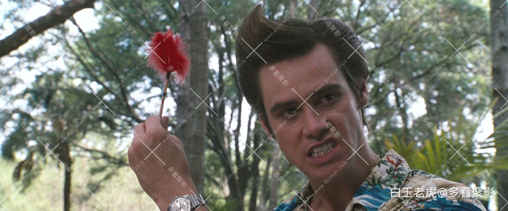Ace.Ventura.When.Nature.Calls.1995.1080p.BluRay.x265-RARBG.mkv_20251026_094252.292.jpg