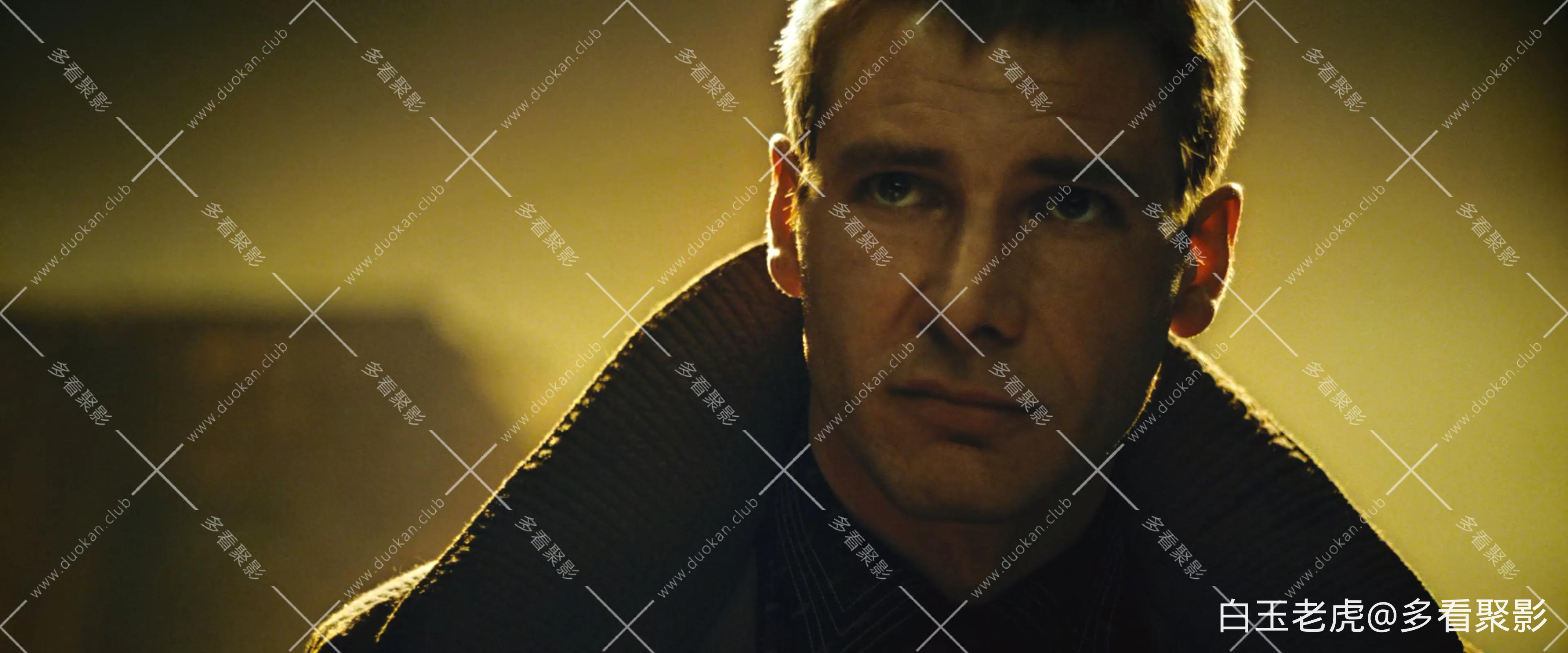 Blade.Runner.The.Final.Cut.1982.BluRay.2160p.10bit.HDR.DV.8CH.x265.HEVC.2Audio-P.webp
