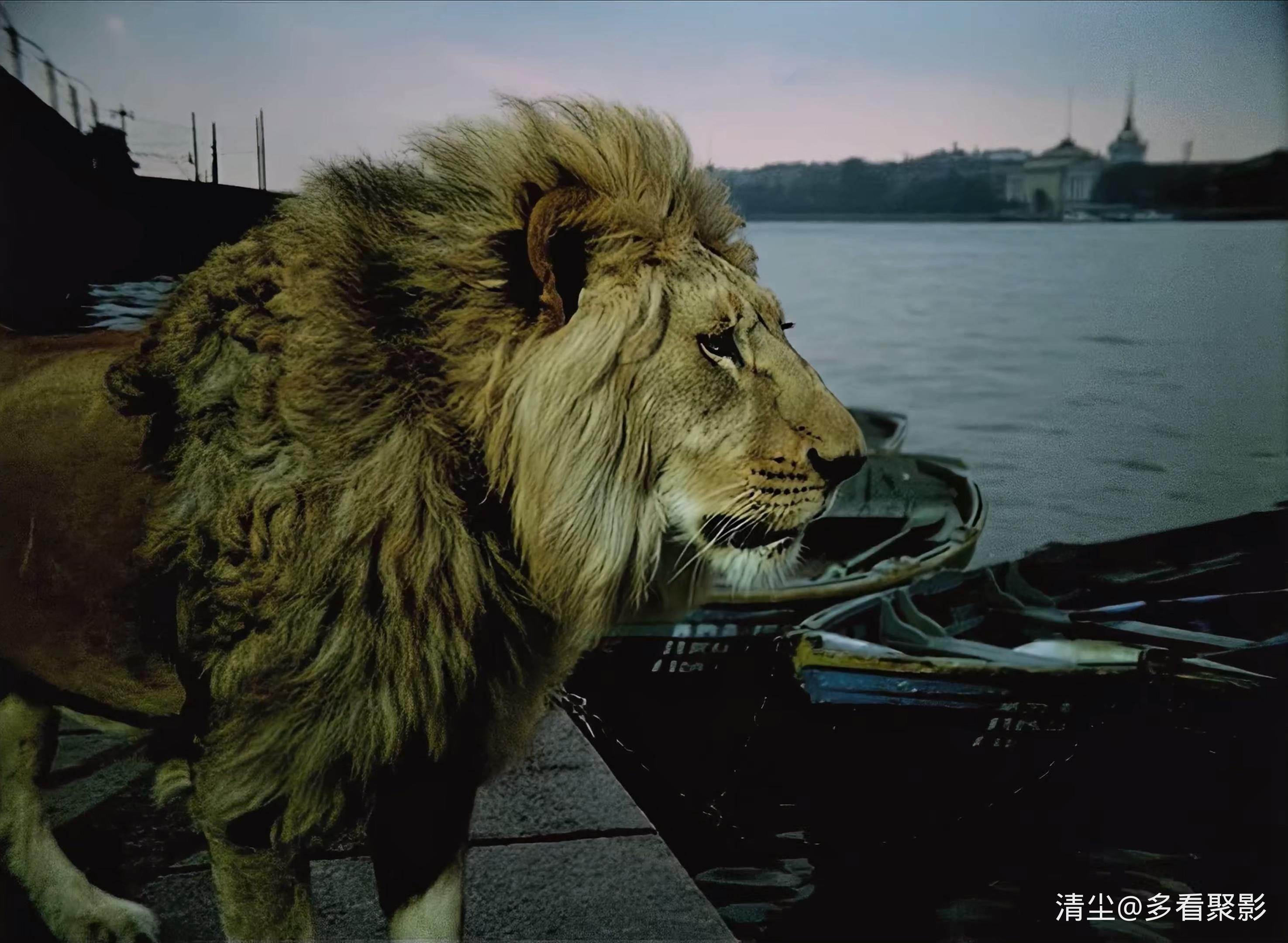 1974 意大利人在俄罗斯的奇遇 4K.mkv_20251101_133602.551.jpg