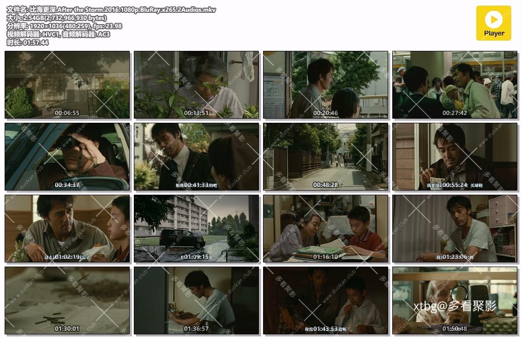 比海更深.After the Storm.2016.1080p.BluRay.x265.2Audios.mkv.jpg