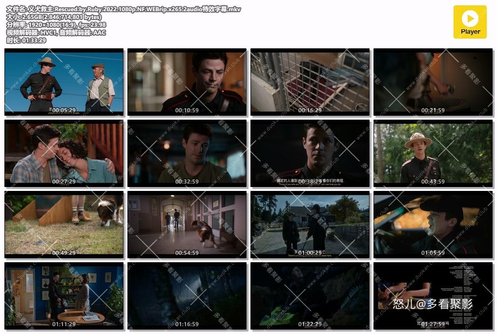 义犬救主.Rescued.by.Ruby.2022.1080p.NF.WEBrip.x265.2audio特效字幕.mkv.jpg