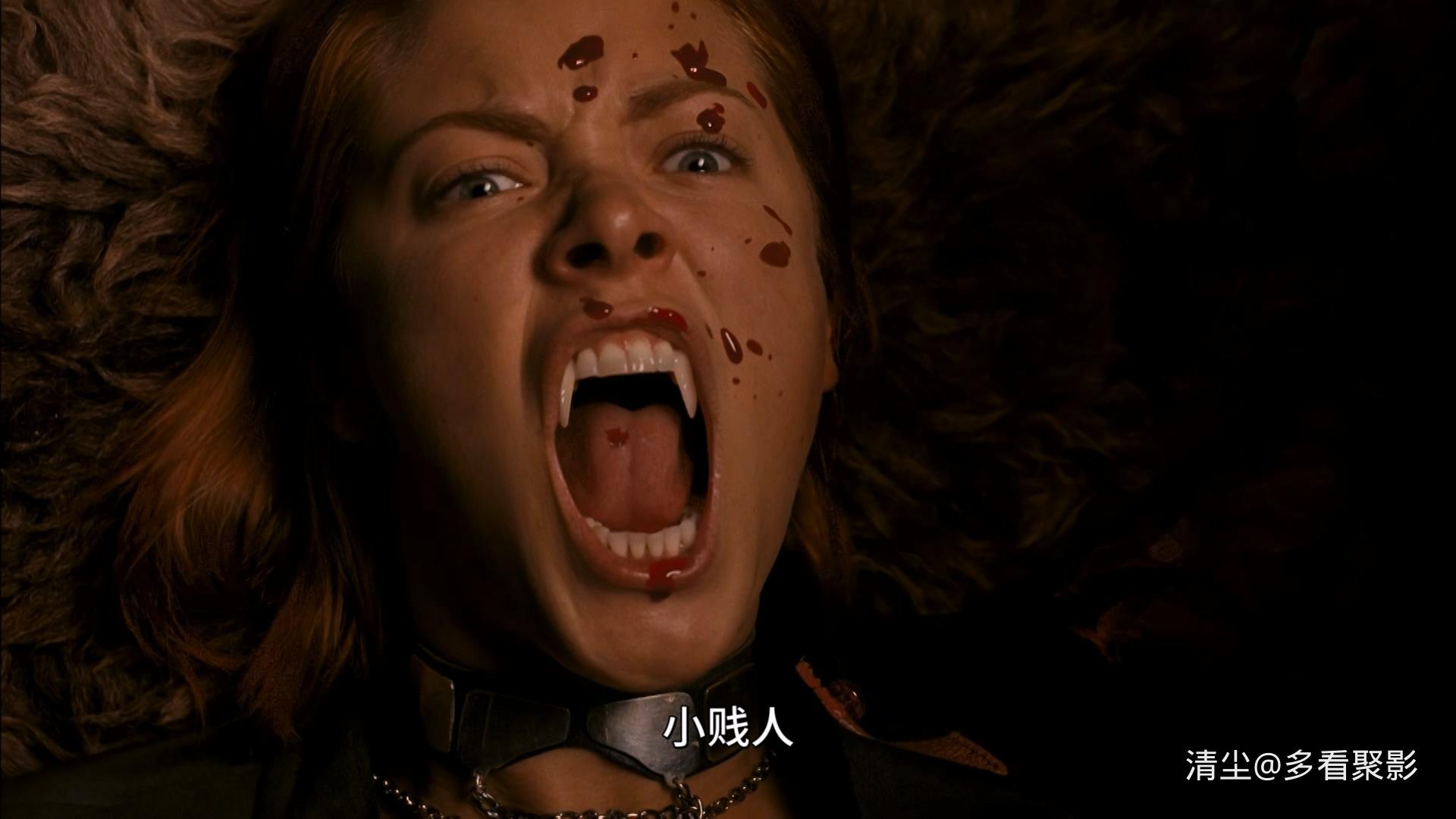 2005 吸血莱恩 BloodRayne.mkv_20251212_152310.278.jpg