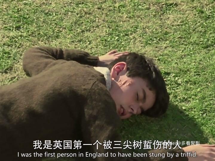 三尖树时代 (3).jpg