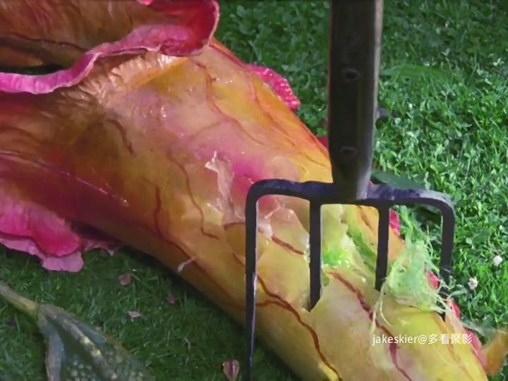 三尖树时代 (6).jpg