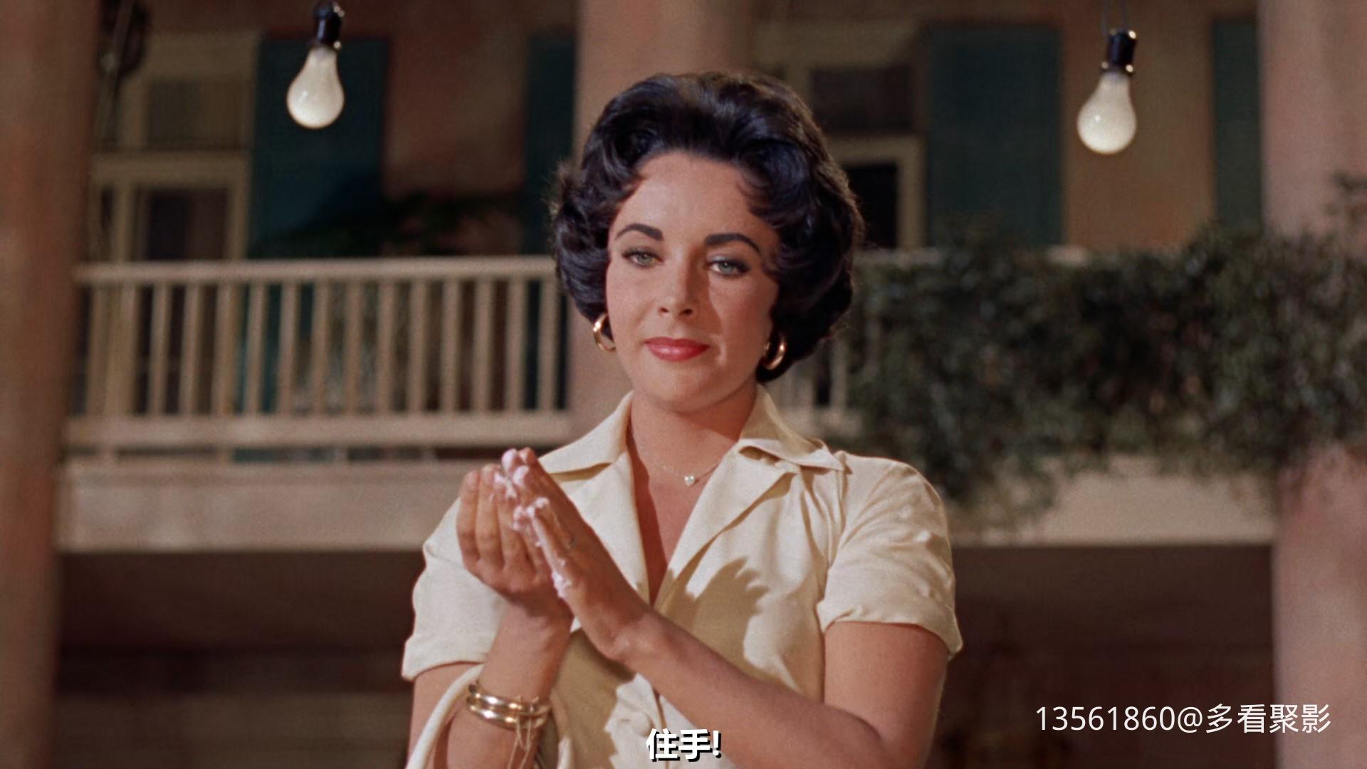 热铁皮屋顶上的猫Cat on a Hot-00_04_33-2025_12_26_09_34_25.jpg