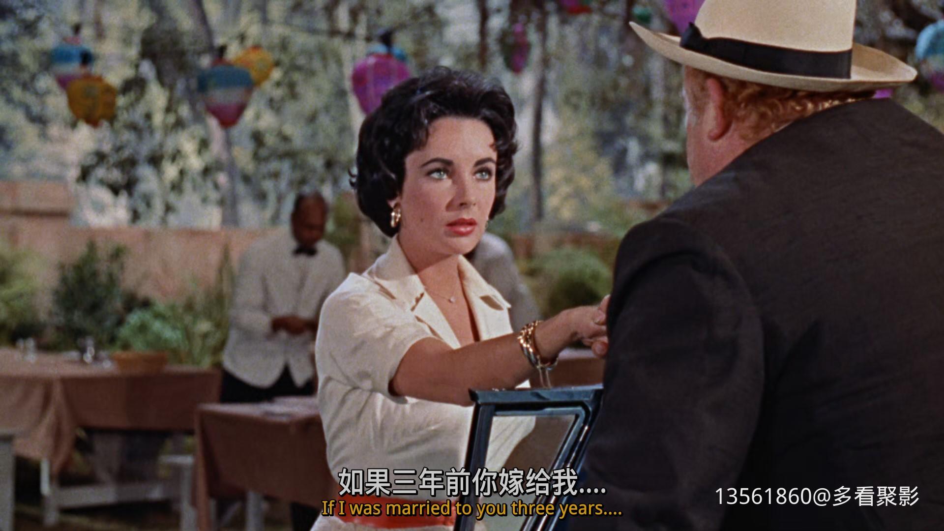 热铁皮屋顶上的猫Cat on a Hot-00_18_14-2025_12_26_09_45_50.jpg