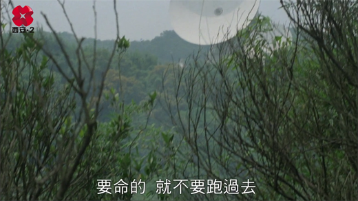 西安2台贩母案考[00_15_35][20260122-115828].png