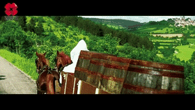 动态图 (11).gif