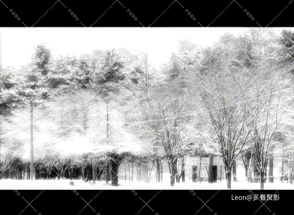 IMG_20260217_142341.png