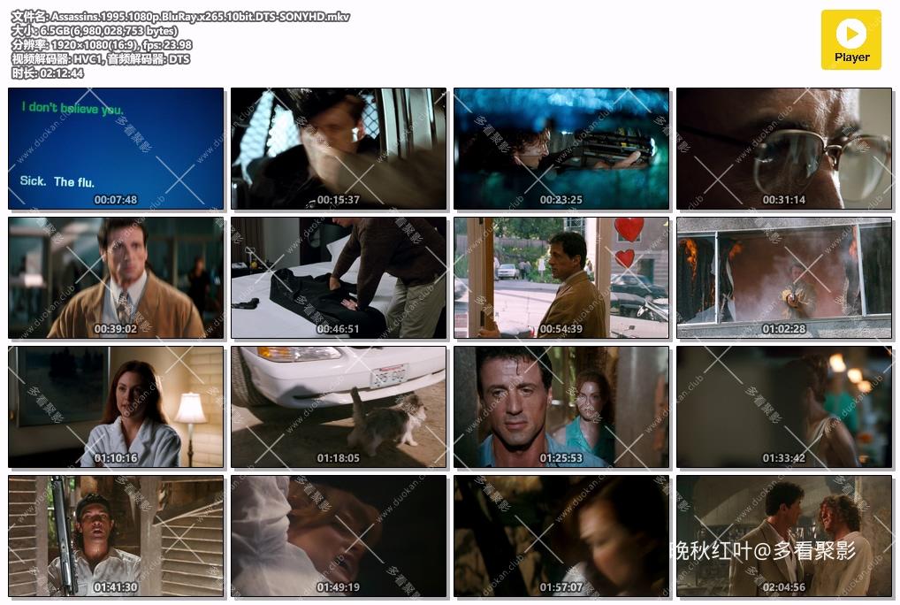 Assassins.1995.1080p.BluRay.x265.10bit.DTS-SONYHD.mkv.jpg