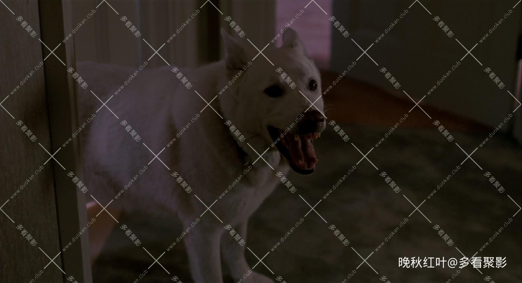 Midnight.Run.1988.BluRay.1080p.x265.10bit.3Audio-MiniHD.mkv_20260315_160428.607.jpg