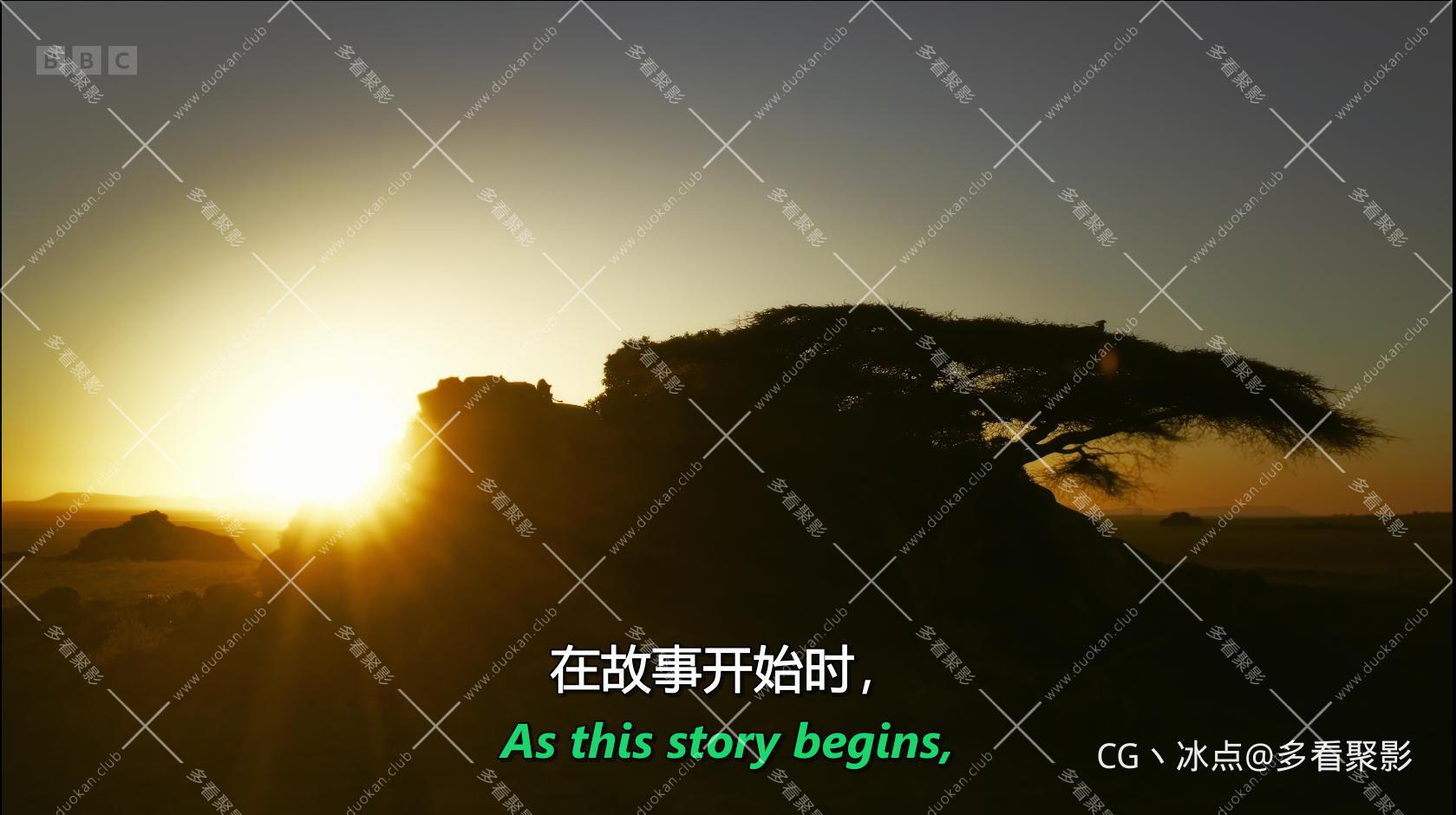 塞伦盖蒂.S03E01.4K-.jpg