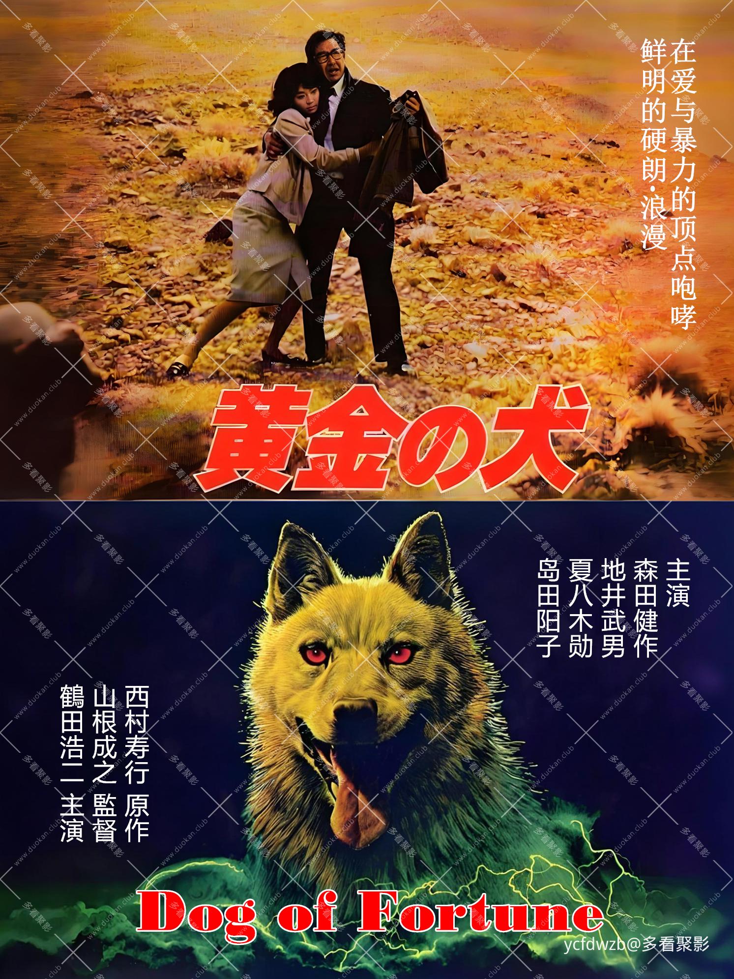 未标题-1.jpg