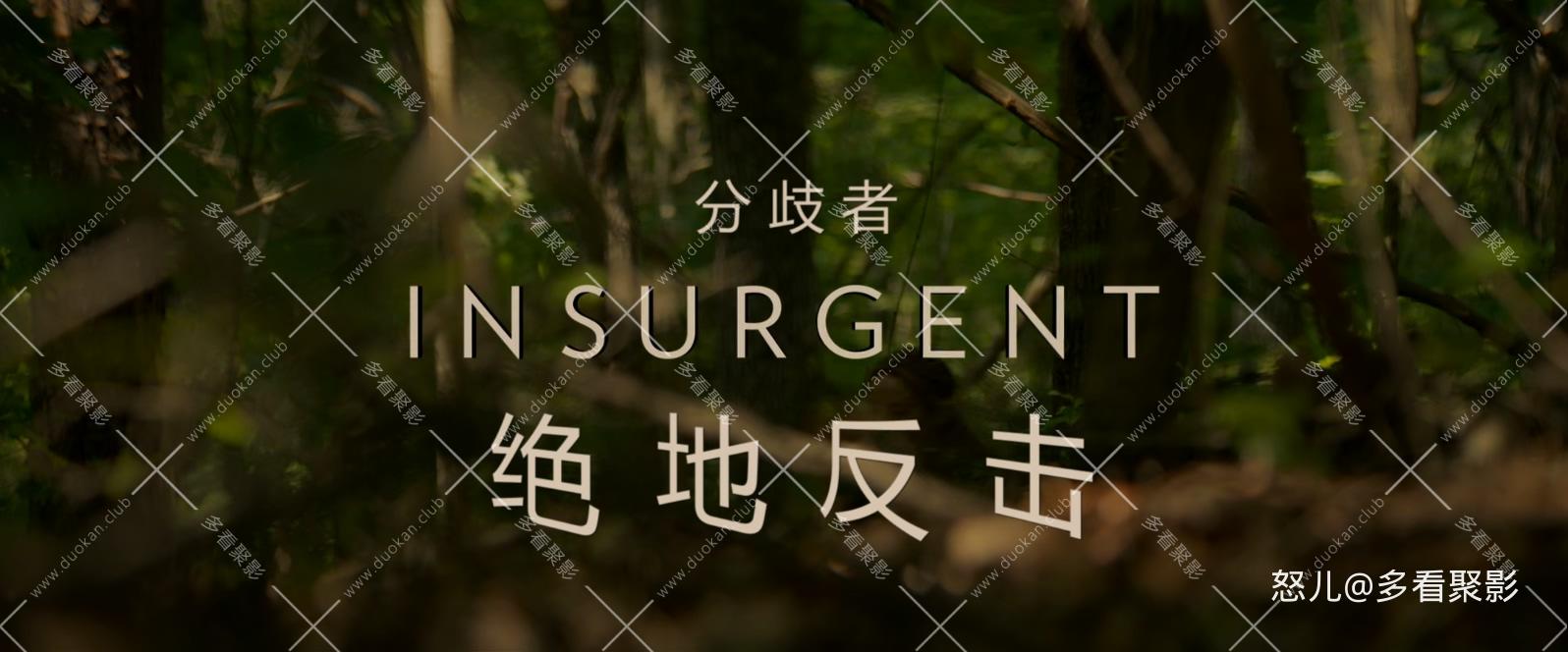 分歧者2：绝地反击.Insurgent.2015.1080p.BluRay.x265.2audio-RARBG特效字幕 (2).mkv_.jpg