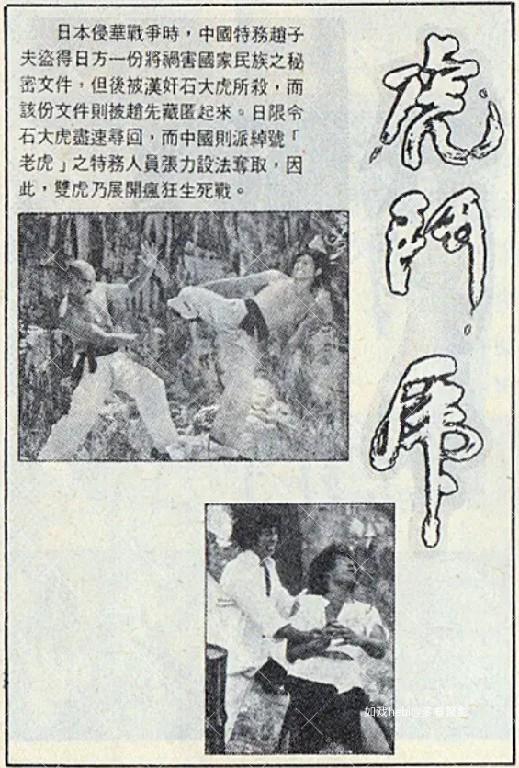 虎斗虎.jpg