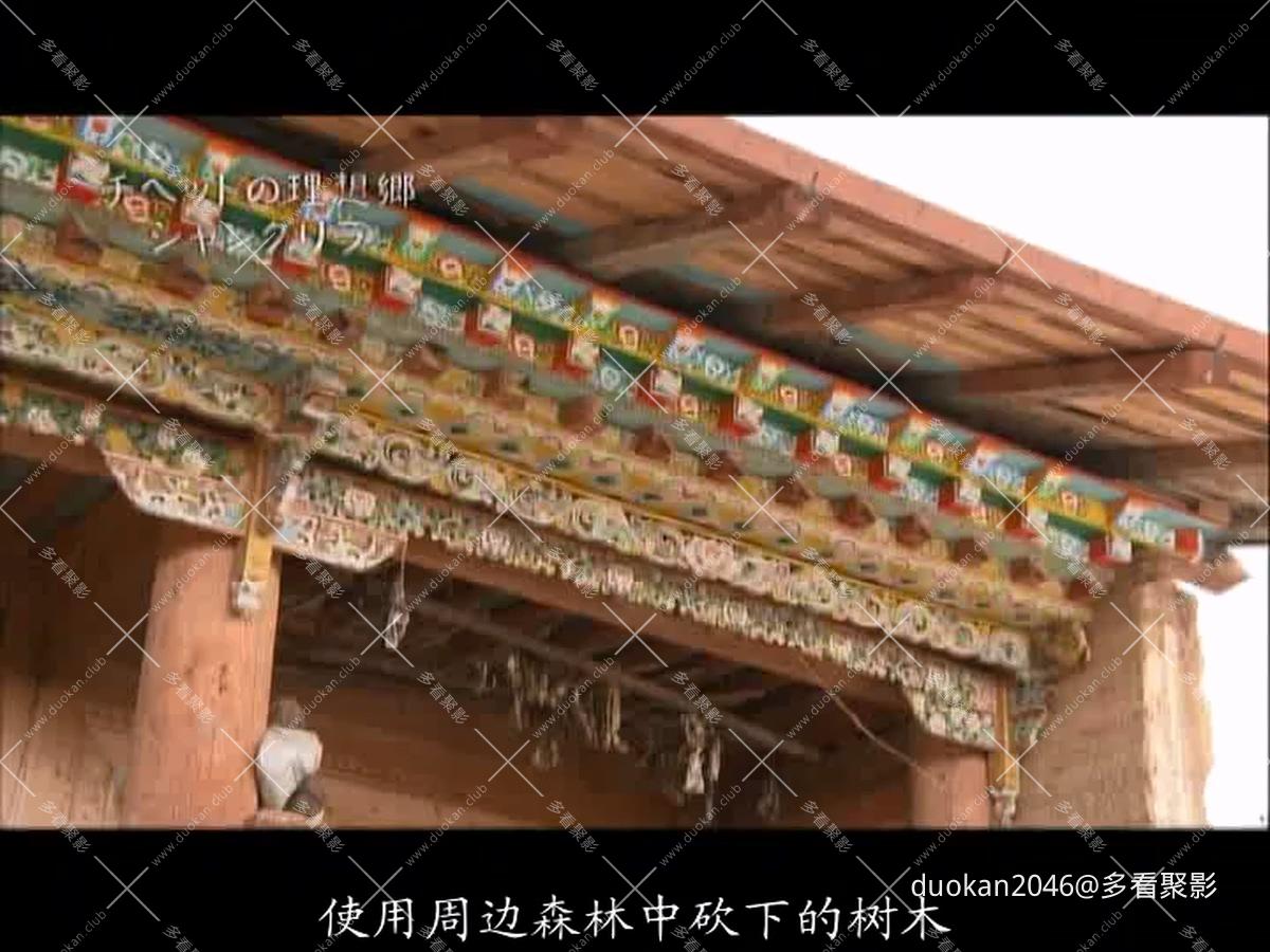 01.mp4_20260710_231355.251.jpg