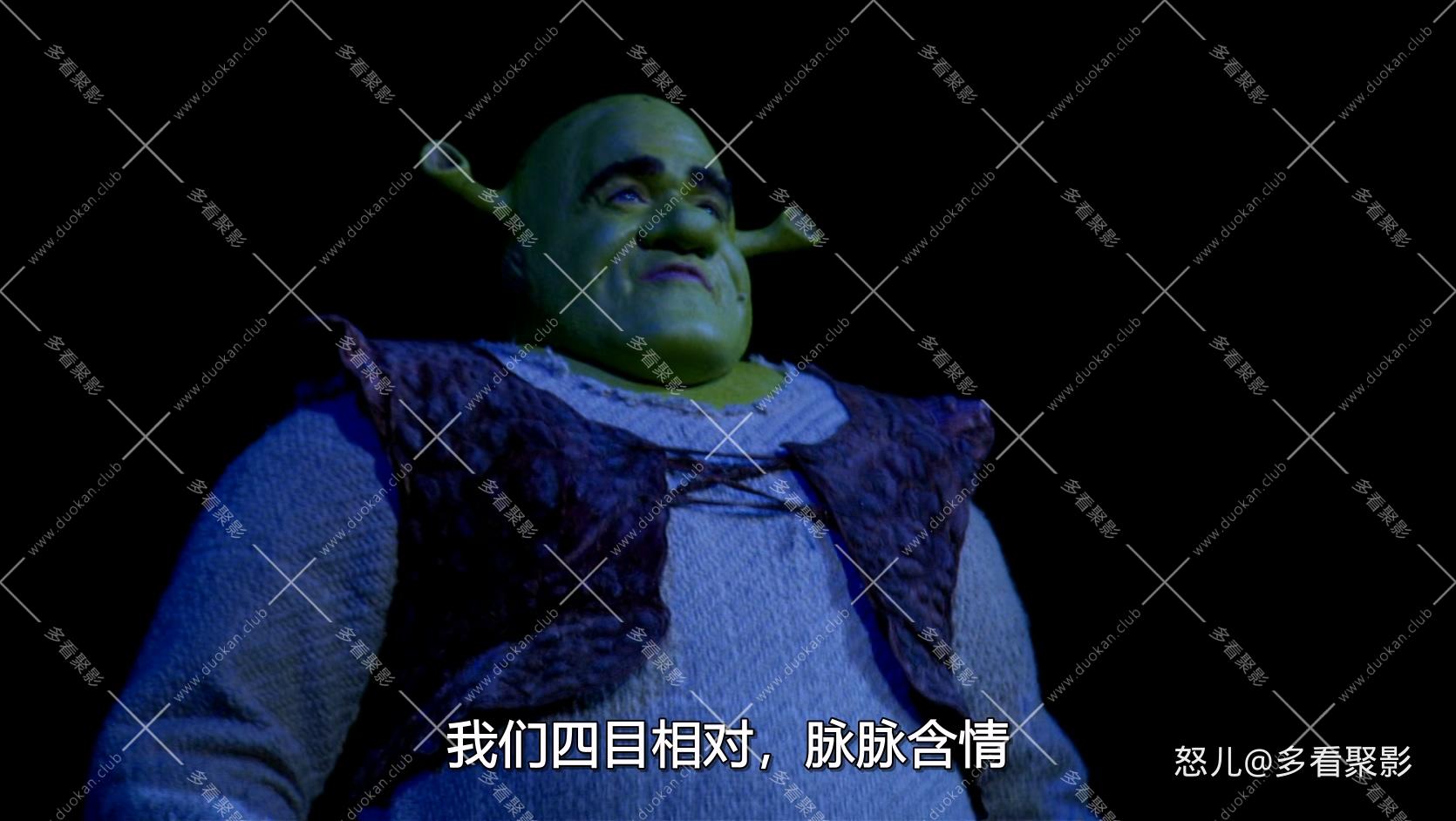 怪物史瑞克音乐剧.Shrek.The.Musical.2013.1080p.BluRay.x265-RARBG.mkv_20260713_103.jpg