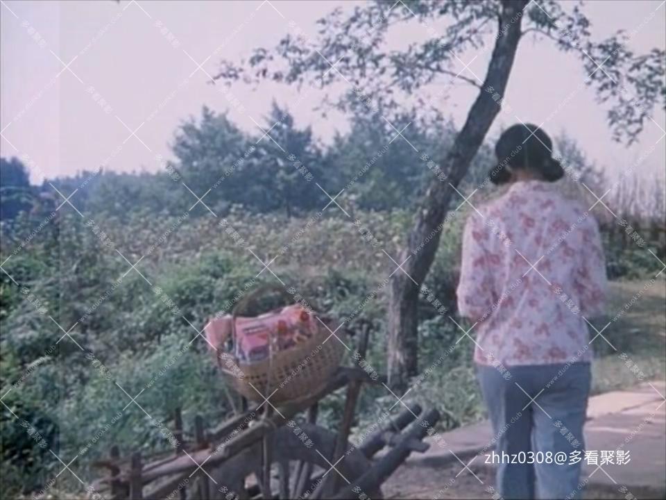 竹山青青(1982).mkv_20260718_144843560.jpg