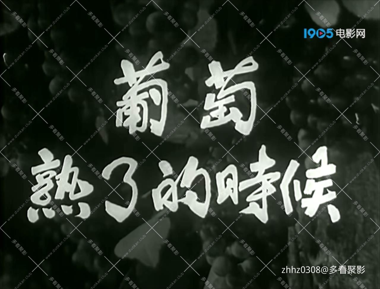 葡萄熟了的时候.mp4_20260724_232952226.jpg