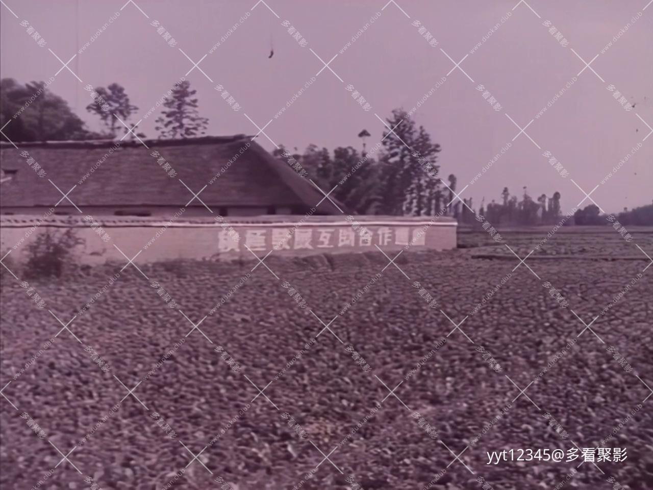 春潮急[1976] Prob3.mkv_20260726_171701.508.jpg