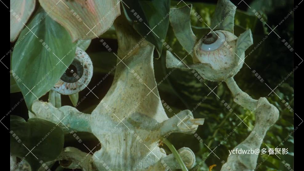 p2934598030.jpg