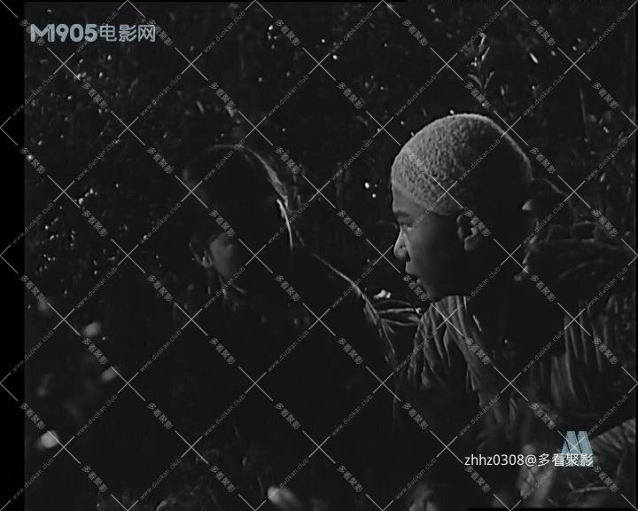 小伙伴.mp4_20260814_124433.808.jpg