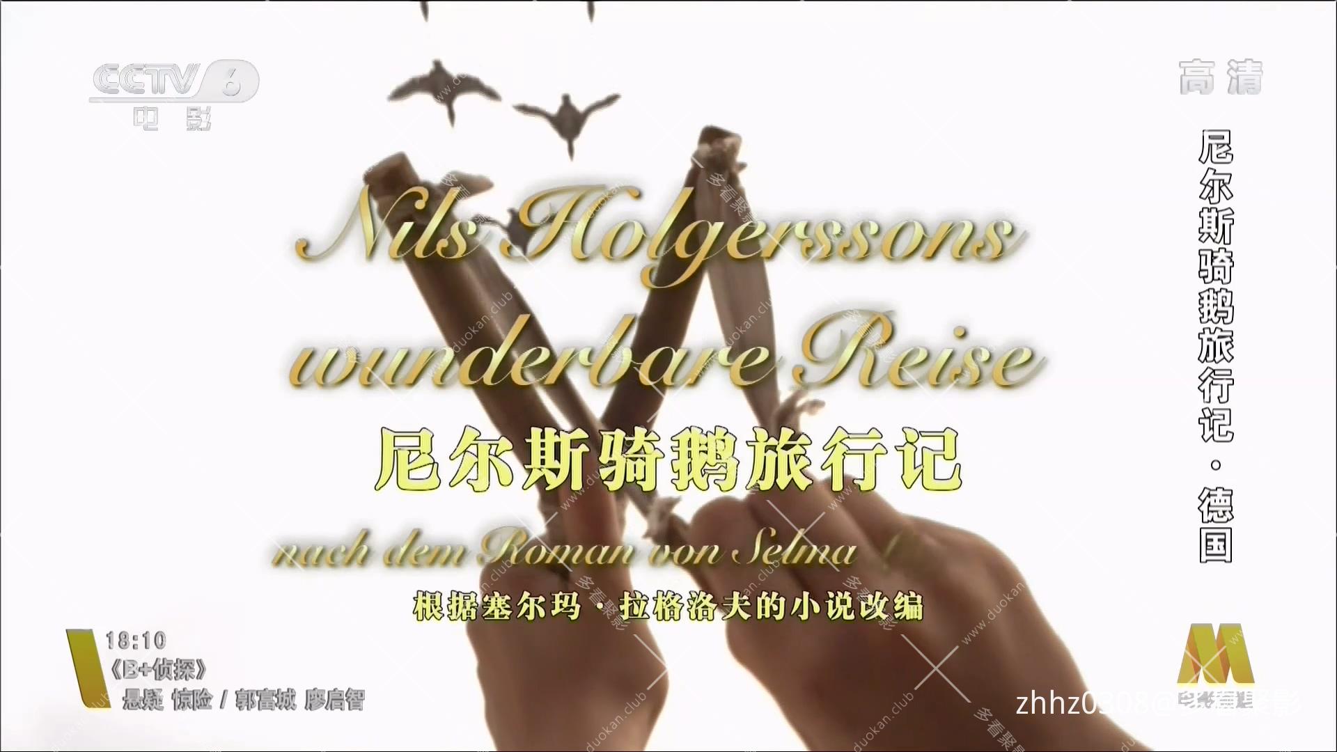德国 尼尔斯骑鹅历险记 2011.mp4_20260815_142405.024.jpg