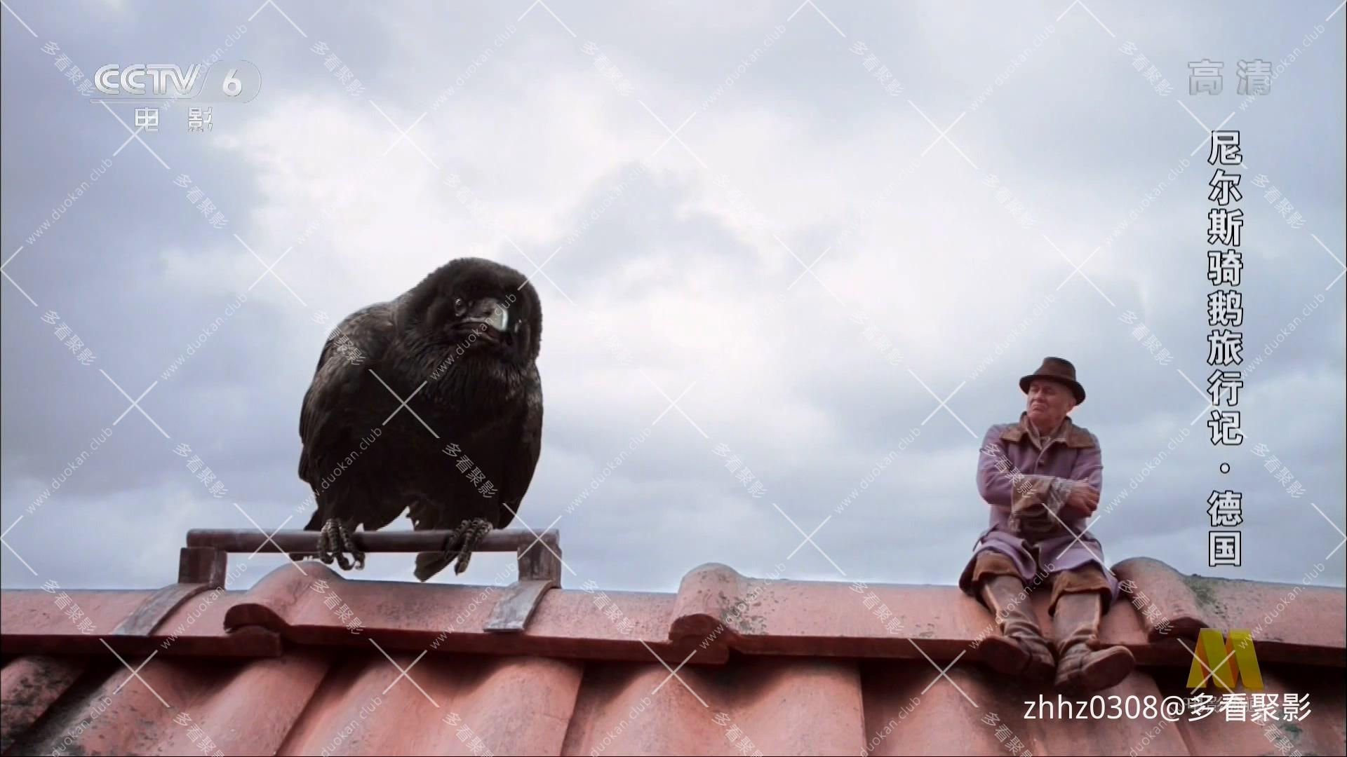 德国 尼尔斯骑鹅历险记 2011.mp4_20260815_142443.415.jpg
