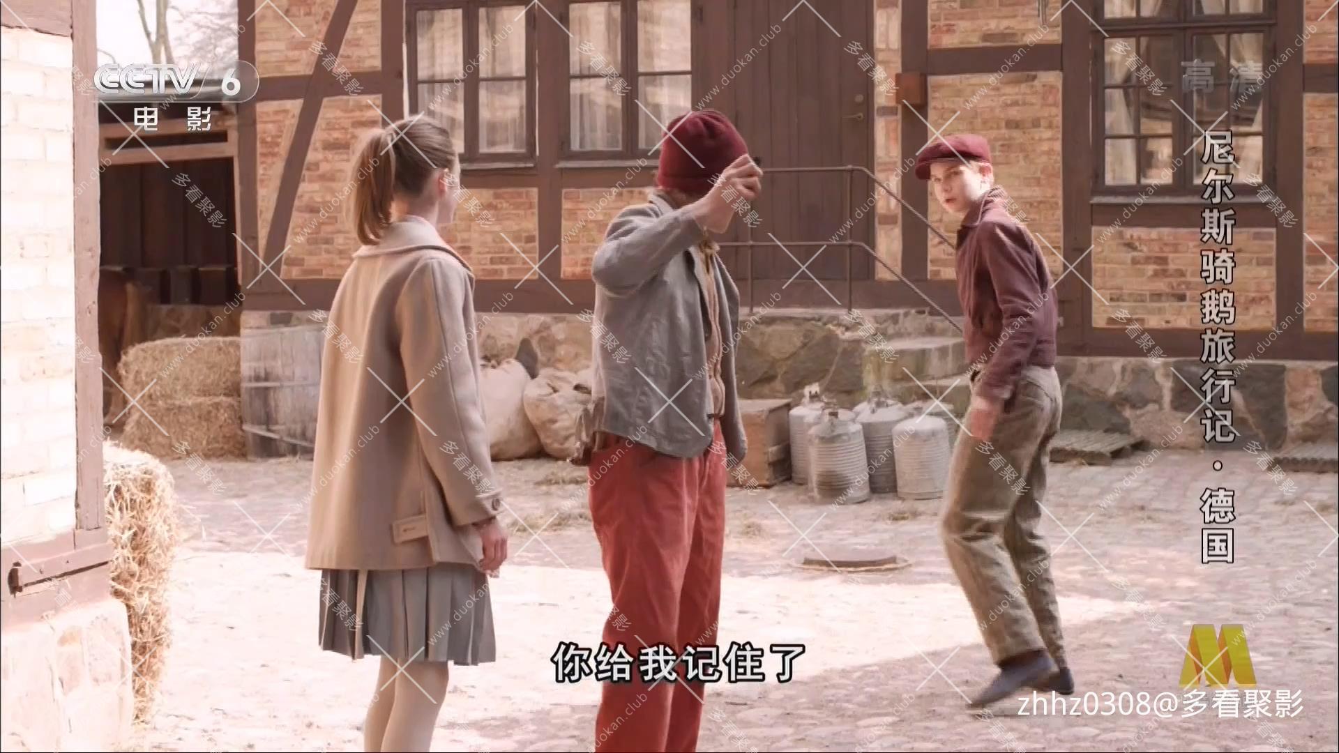 德国 尼尔斯骑鹅历险记 2011.mp4_20260815_142438.508.jpg