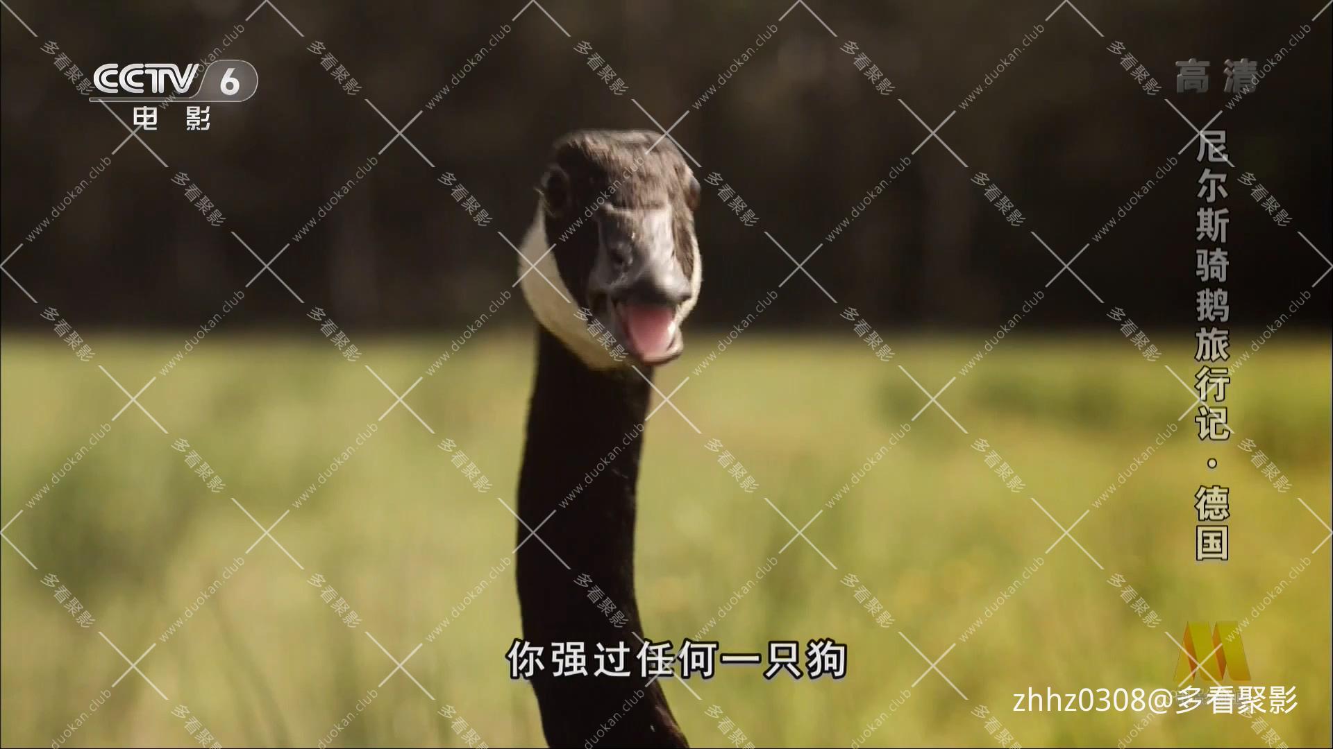 德国 尼尔斯骑鹅历险记 2011.mp4_20260815_142449.699.jpg