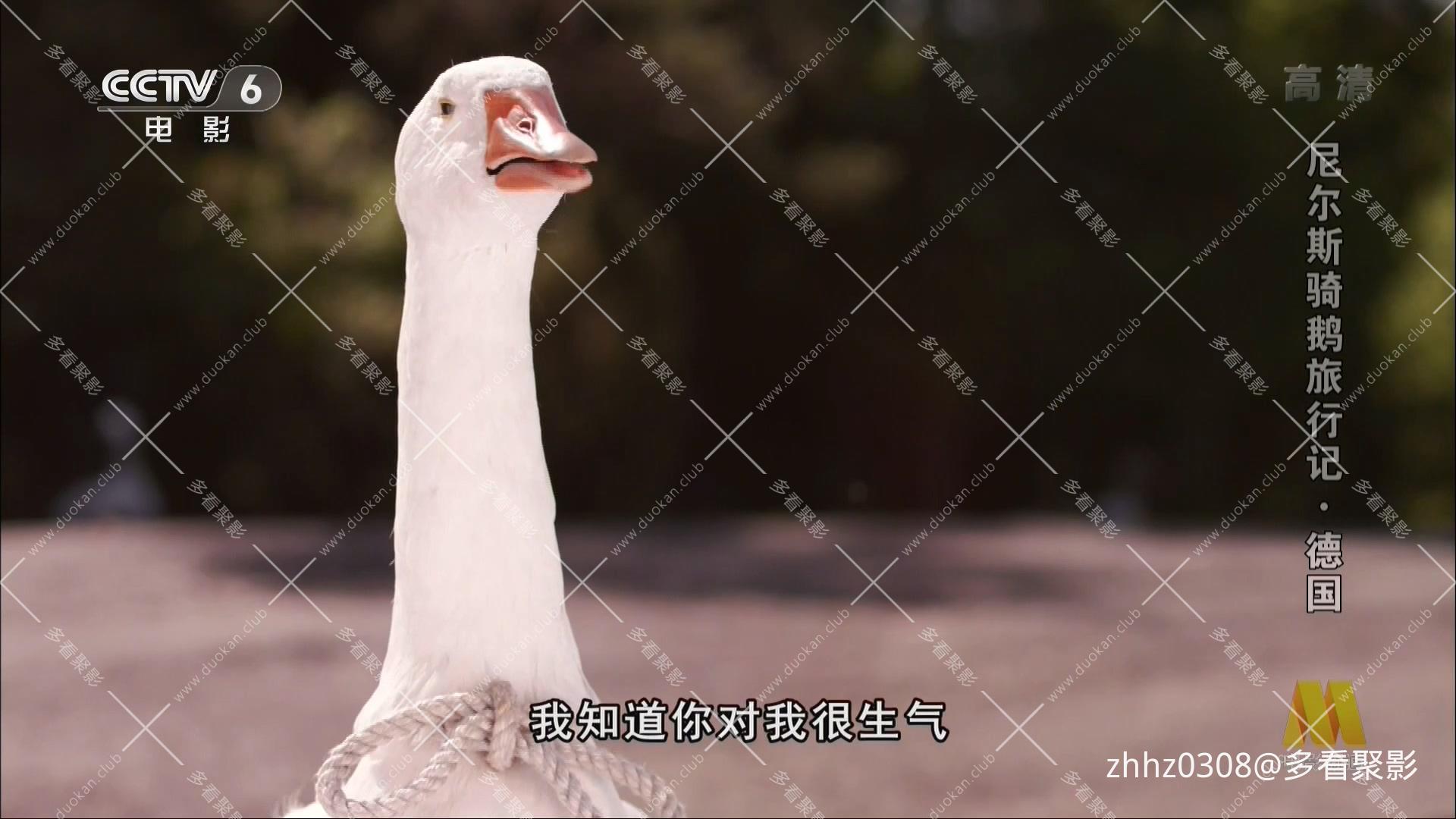 德国 尼尔斯骑鹅历险记 2011.mp4_20260815_142458.113.jpg