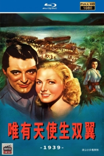 [115] 天使之翼-1939-英语&简繁英字-6.11G-MKV